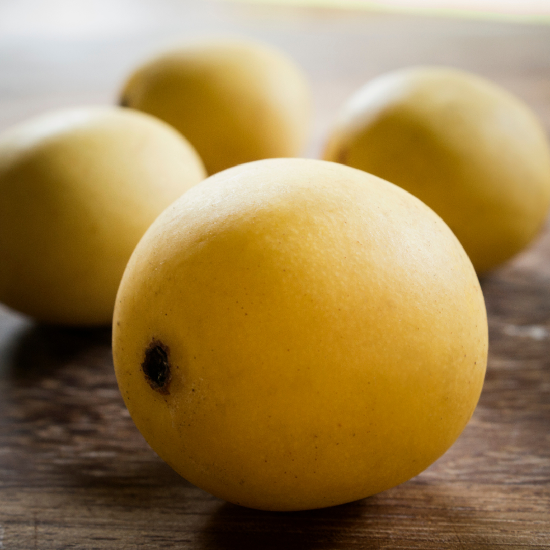Marula seed oil | Frula Beauty | Skincare for glowing skin