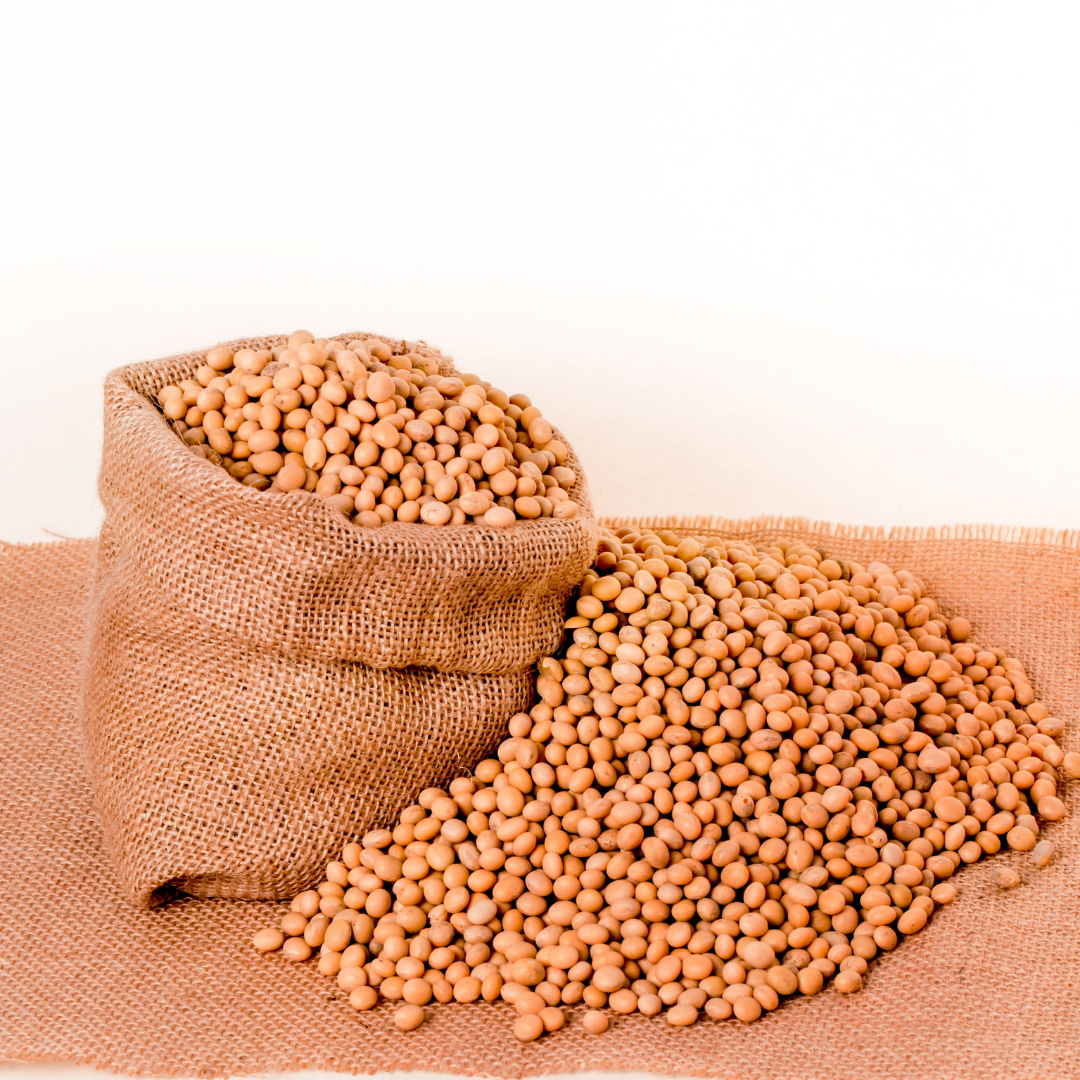 Soybean Amino Acids | Frula Beauty | Skincare for glowing skin