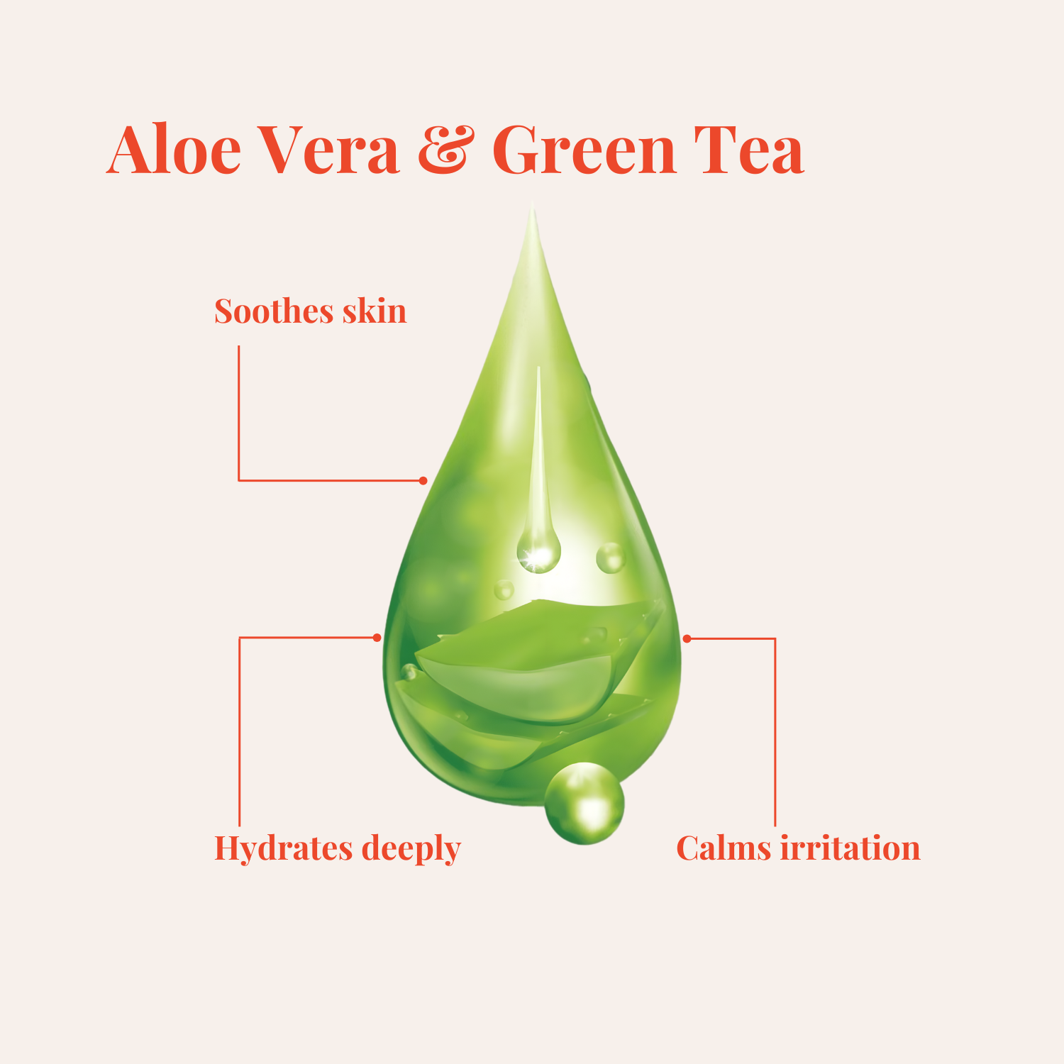 Gentle Foaming Face Cleanser