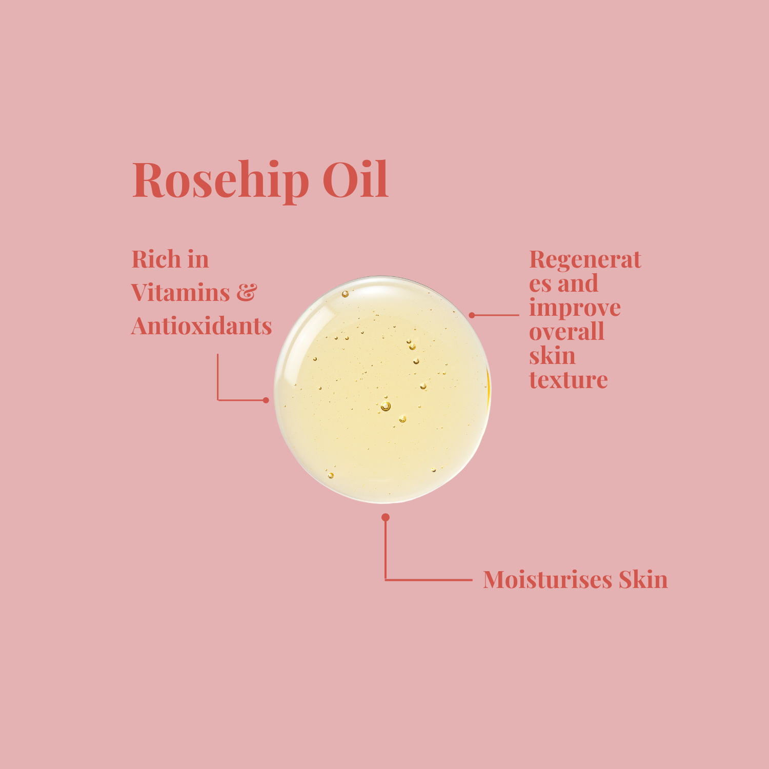 Hydrate & Glow Face Oil