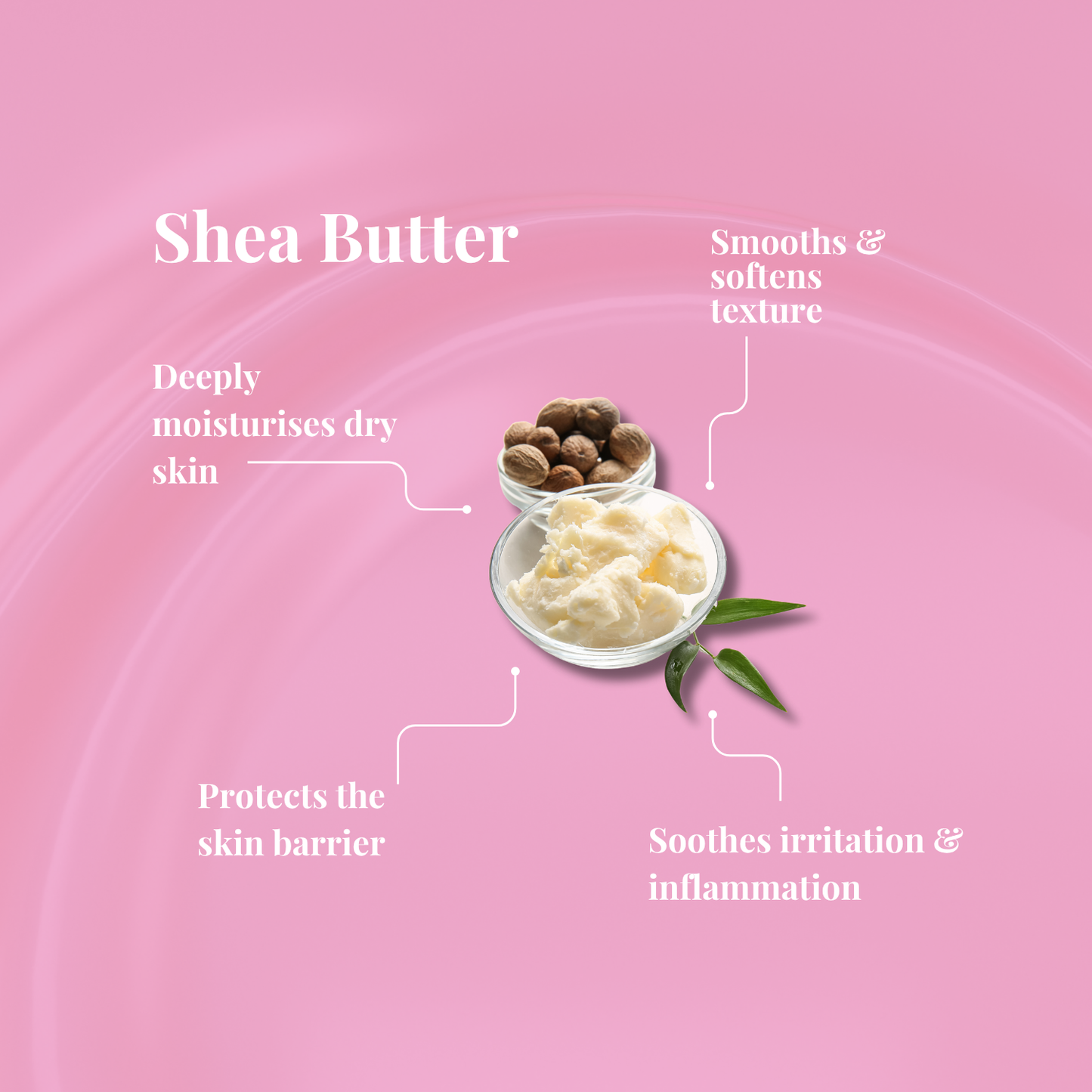 Summer Nights Body Wash